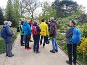 Runder Gartentisch Kleingarten zu Gast im Botanischen Garten am 18. April 2024