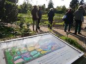 Runder Gartentisch Kleingarten zu Gast im Botanischen Garten am 18. April 2024