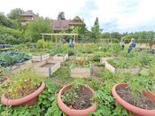 Beim Runden GartenTisch Kleingartem am 15. Juli 2025