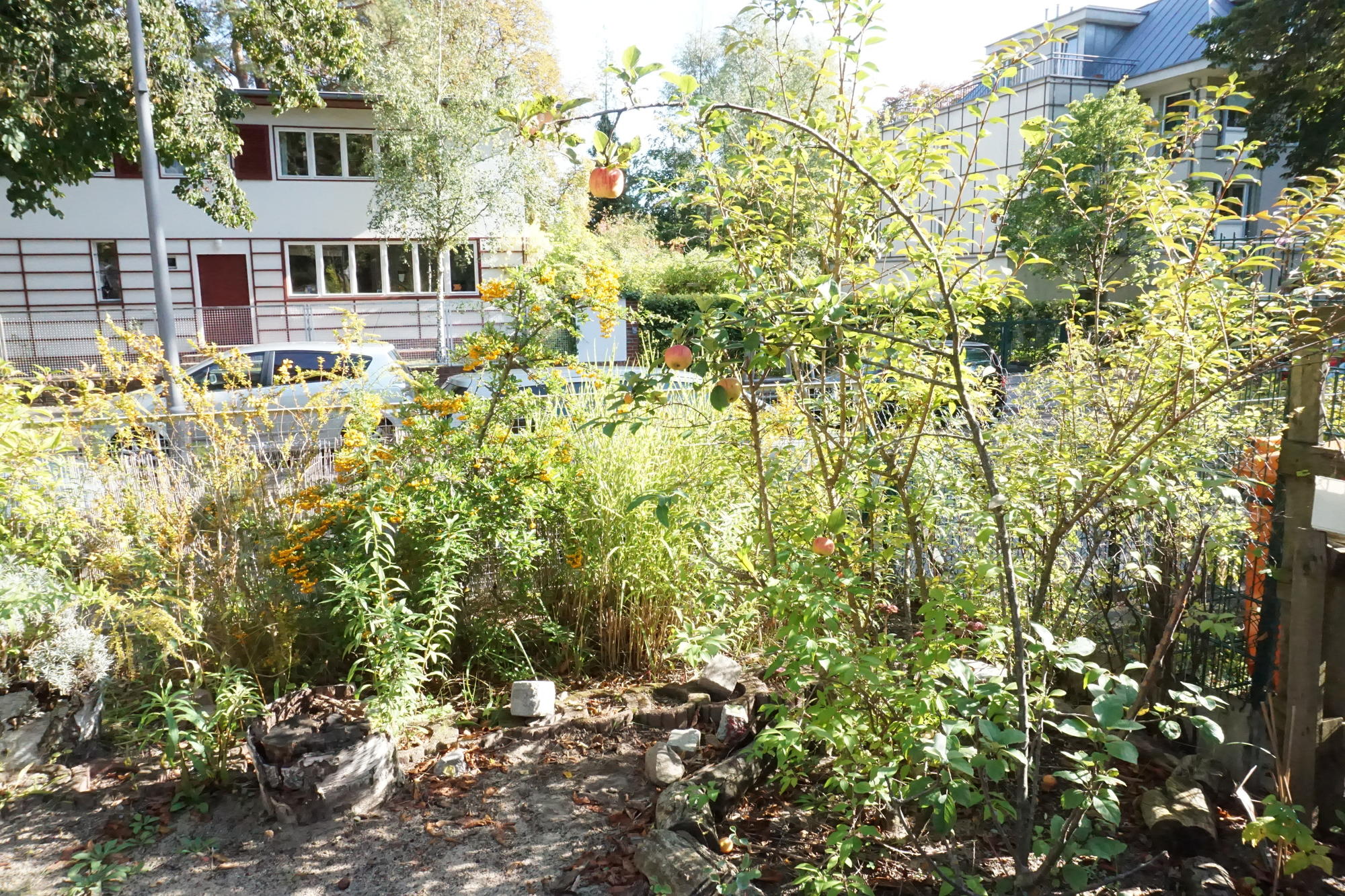 Garten in der Kita Südende. Bildquelle: Anke Reule
