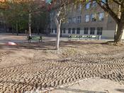 Schulgarten Arndt-Gymnasium Dahlem