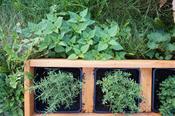 Montessori-Gemeinschaftshaus: Probierlabor Kita-Garten