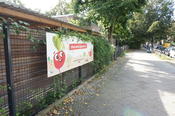 Kita Oberlin