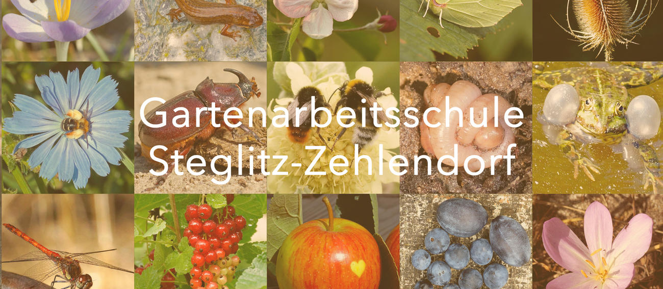 Gartenarbeitsschule