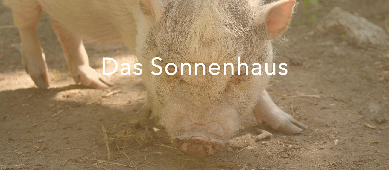 Sonnenhaus