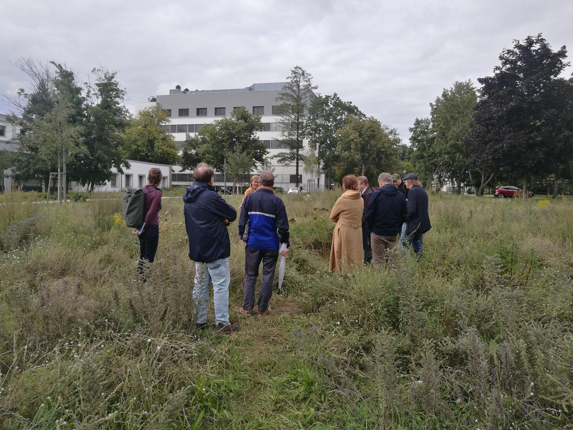 Umweltausschuss_Blühender_Campus_26082021