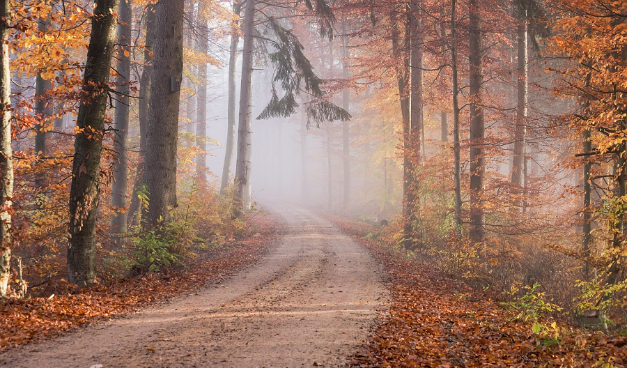 Herbst-Netzletter 2023