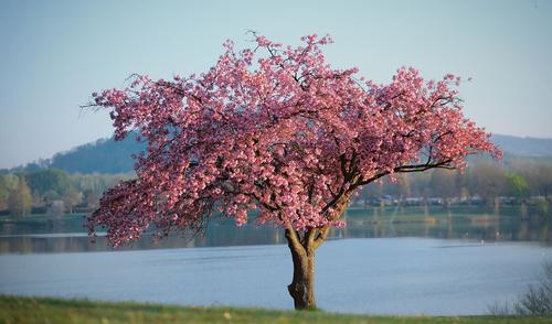 Newsletter Frühling 2023