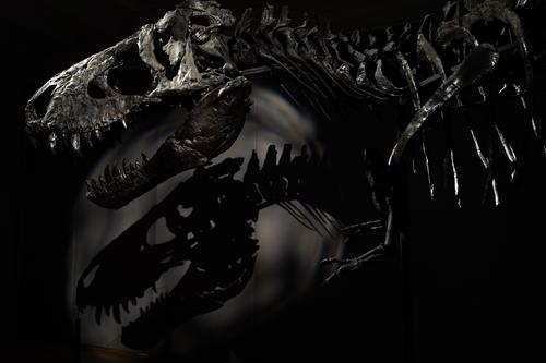 Dino-Doom