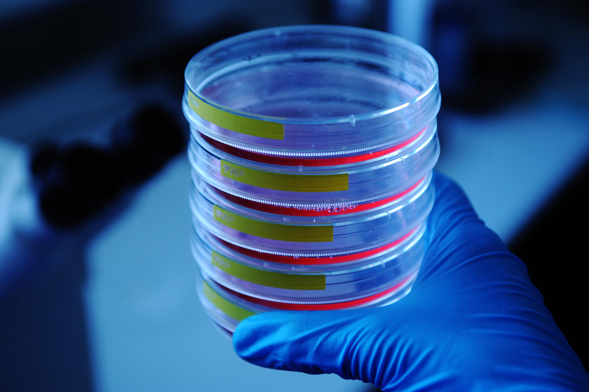 Die Dahlem Research School Molecular Science bereitet Doktorandinnen und Doktoranden der Fachbereiche Physik sowie Biologie, Chemie und Pharmazie auf das Berufsleben vor.