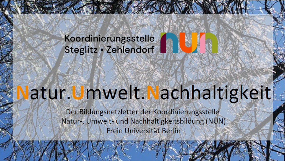 NUN-Netzletter