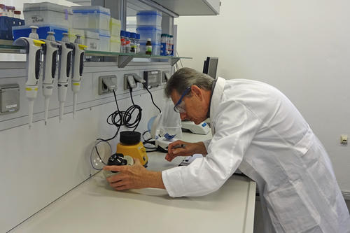 Audit im Fachbereich Biologie, Chemie, Pharmazie