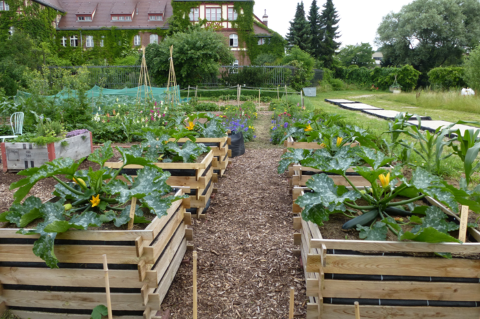 Versuchspflanzungen im Botanischen Garten