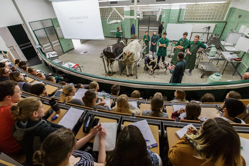 Fachbereich Veterinärmedizin