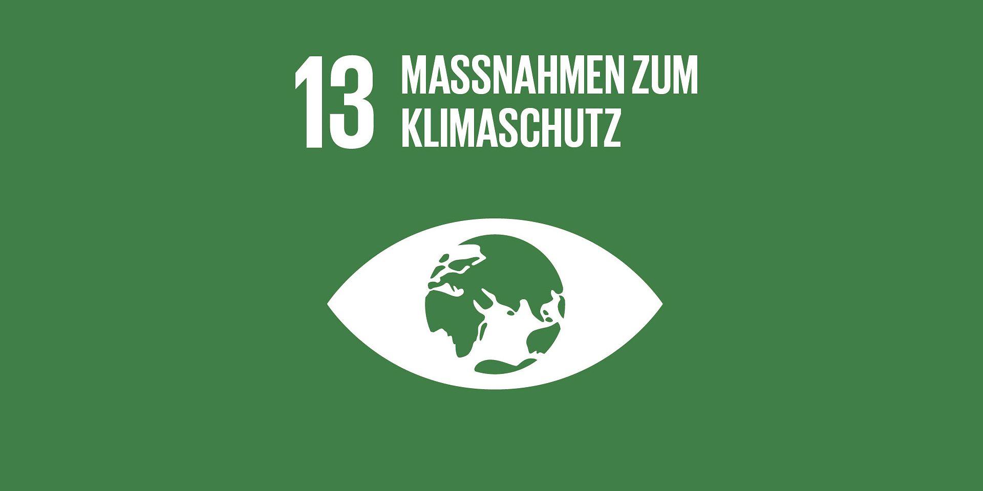 sdg-13