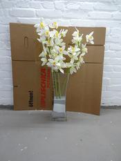 Blumen