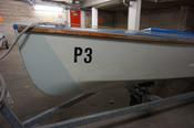 P 3 (21)