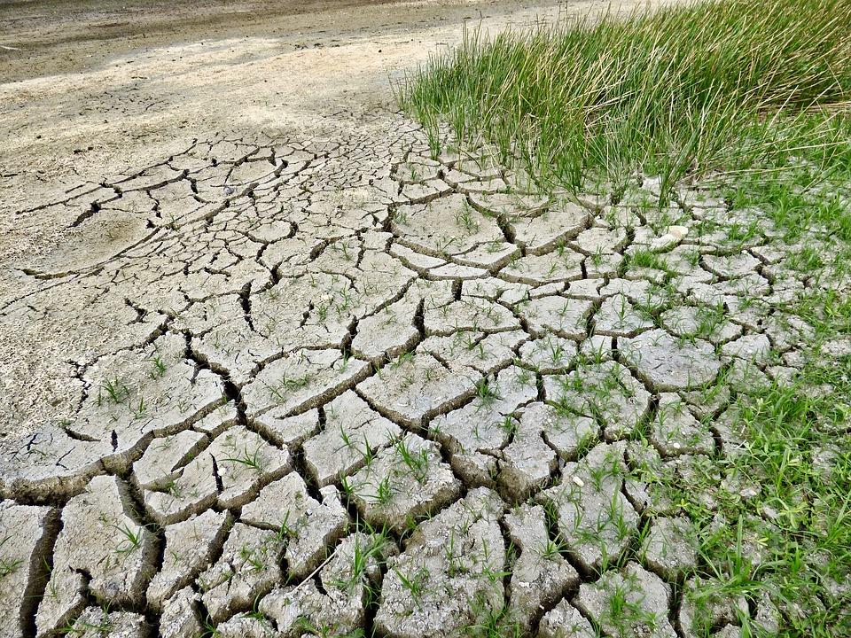 Klimawandel