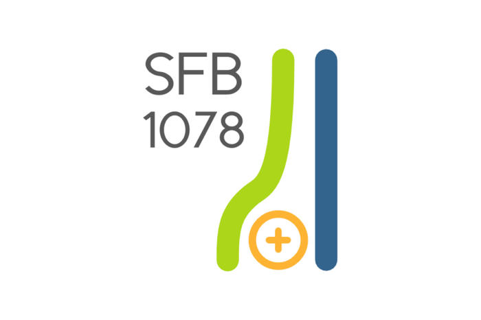 SFB1078 auf weiß