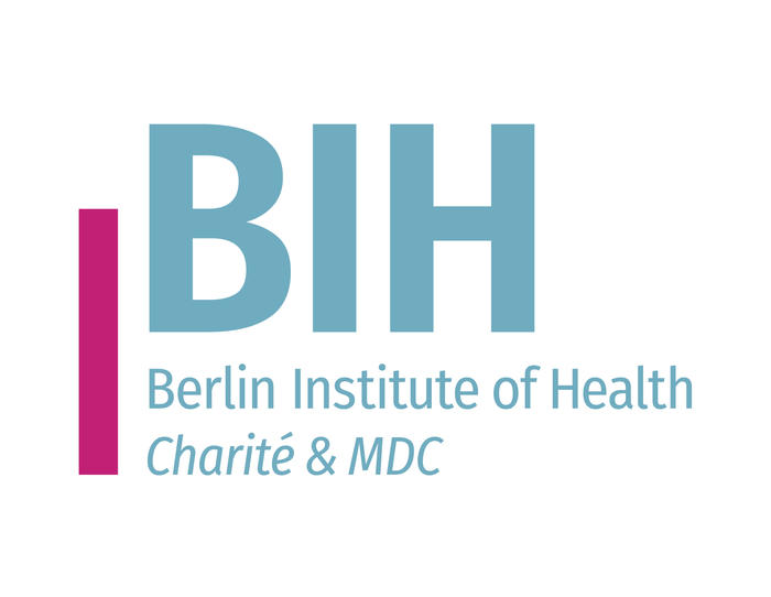 BIH-Logo