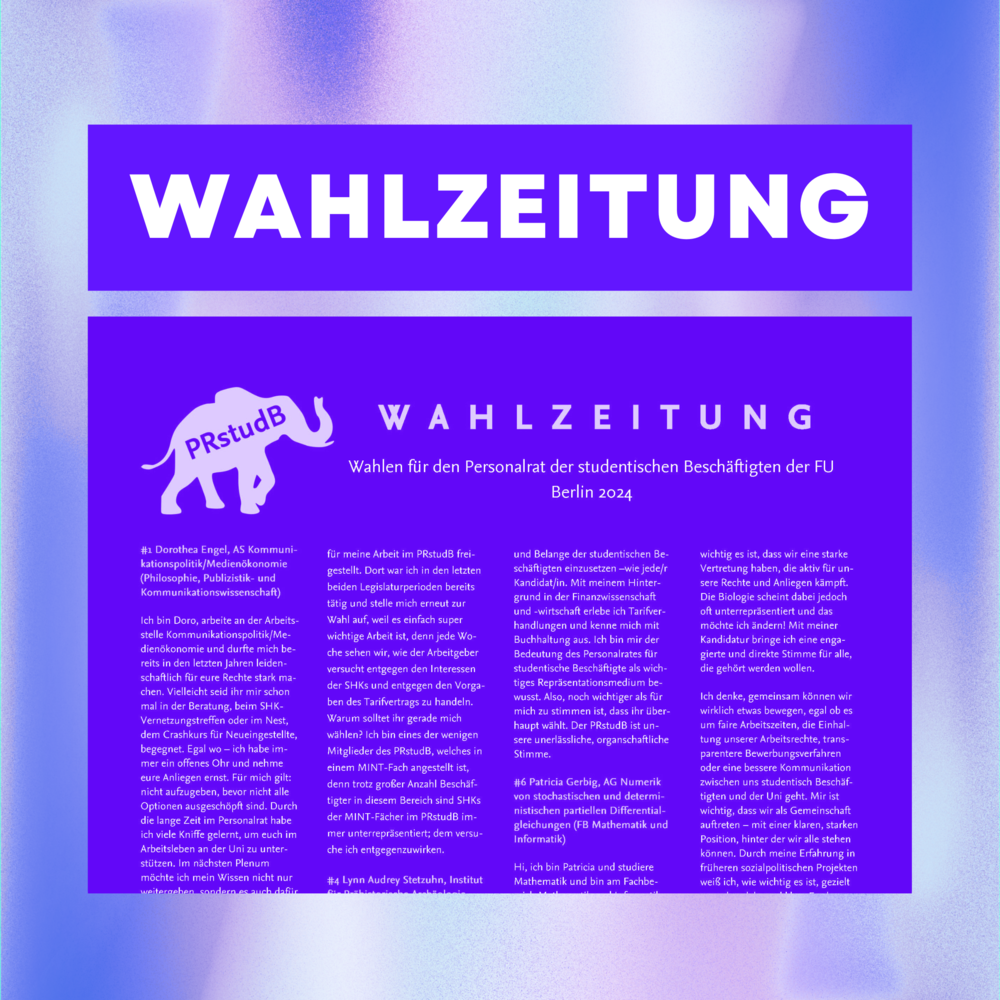 Wahlzeitung-2024-III