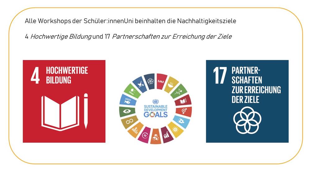 SDGs 4 & 17