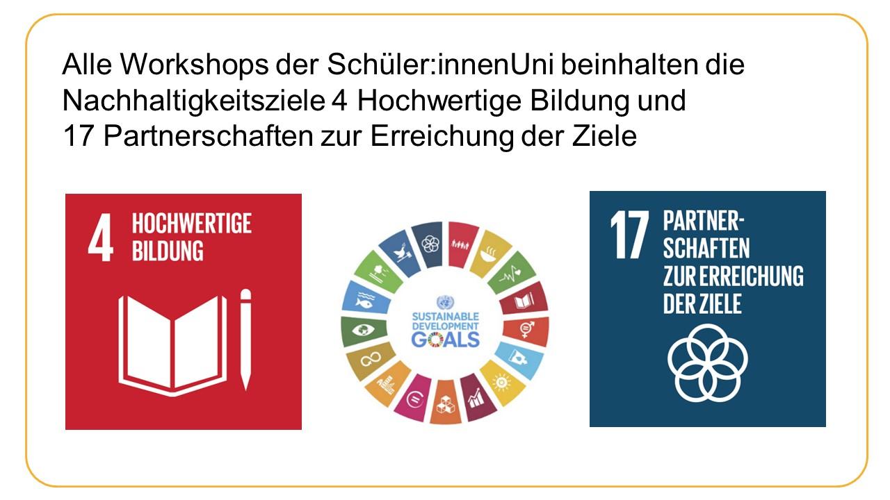 SDGs 4 & 17