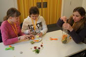 Workshop: Bioenergie selber machen