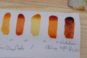 Workshop: Färberwerkstatt - Farben aus der Natur selber herstellen