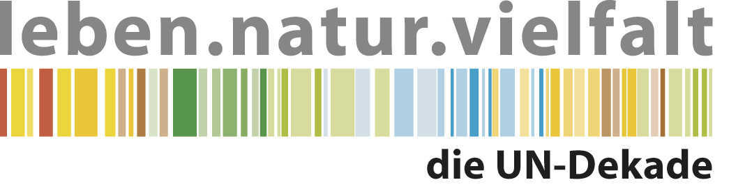 Logo der UN-Dekade