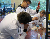 Kurs "Chemeisches Experimentieren"