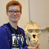 Kurs "Evolution"