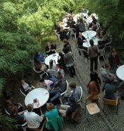 Berufsberatung beim Expertenbrunch