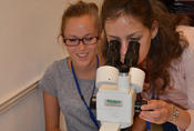 Kurs "Genetik und Entwicklungsbiologie"