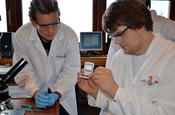 Kurs "Multivalenz und Nanostrukturen"
