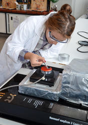 Kurs "Multivalenz und Nanostrukturen"