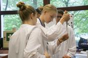 Einblick in die Genetik und Entwicklungsbiologie