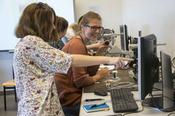 Neurobiologie: Vom Verhalten zu den Nervenzellen