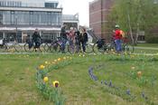 Abstecher zur Blumenwiese vor der VeggiMensa