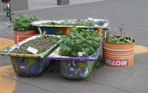 Bepflanzte Badewannen auf dem Campus der Uni Leipzig