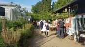 Botanische Nacht 2019