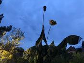 Botanische Nacht 2019
