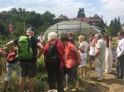 Langer Tag der Stadtnatur 2019