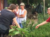 Langer Tag der Stadtnatur 2019
