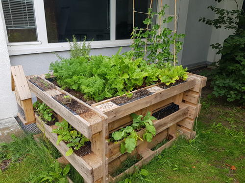 Hochbeet