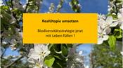 Projektdokumentation