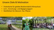 Projektdokumentation