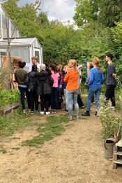Bienen, Honig und Met