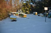 Bienen, Honig und Met