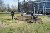 Blumenpflanzaktion 2015